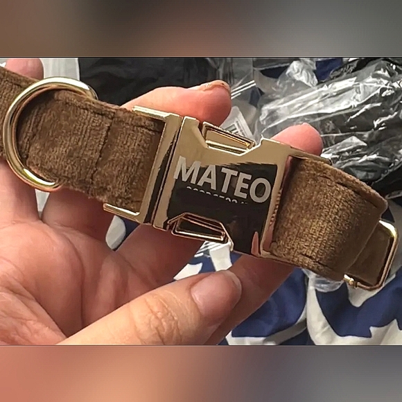 ♥︎ Personally Engraved Premium Velvet Dog Collar ♥︎ - Picture 7 of 8